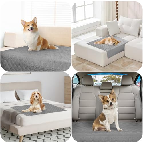 Binlava wasserdichte Hundedecke, 100×127CM rutschfest & Waschbar, Kratzfest Hundematte als Sofa Bett Auto Schutz, Beidseitig nutzbar, Outdoor geeignet für Hunde Katzen Haustiere