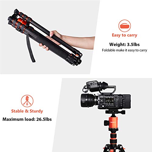 GEEKOTO Carbon Fiber Camera Tripod，Lightweight Detachable Monopod with 360° Ball Head 1/4" Quick Release Plate ， Support 26.5 LB for DSLR Mirrorless Camera Video vlog by GEEKOTO - Image 6