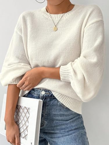 SKAYS Women's 2025 Long Sleeve Cozy Fall Sweater Fall Knit Crew Neck Pullover Lightweight Winter Casual Sweaters4