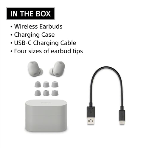 Sony WF-1000XM6 The Best Noise Cancelling Wireless Earbuds, Platinum Silver | Truly Wireless Headphones, Studio-Quality, HD NC Processor QN3e, Ultra Clear Calls, Up to 24 Hours of Battery, Bluetooth - image 7