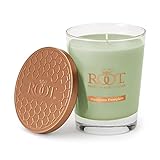 Root Candles Fall Scented Candles Honeycomb Veriglass Premium Handcrafted Beeswax Blend Candle, Large, Heirloom Pumpkin