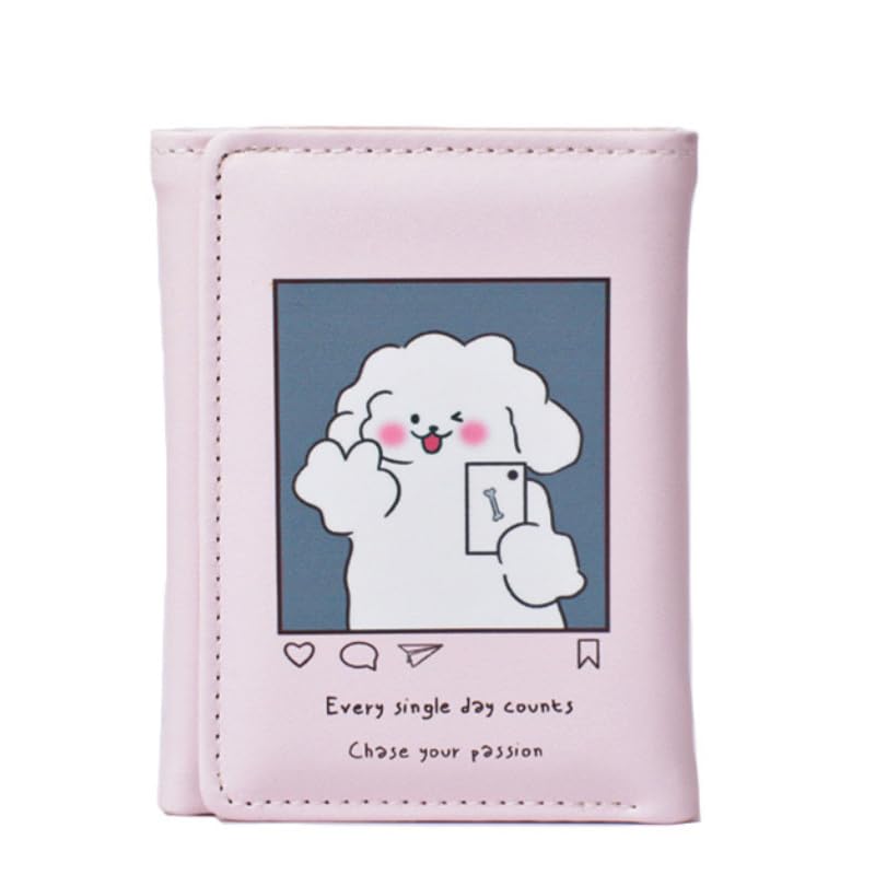 Cute Wallet for Women, Cutecore Purse Trifold Coquette Small Wallet Aesthetic Card Holder Kawaii Card Case Short Purse (pin)