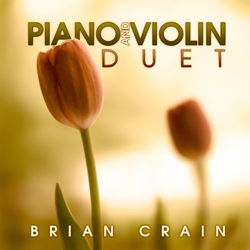 Best Violin Piano Duets Expert Review The Modern Record