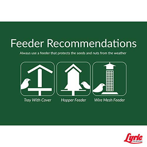 Lyric Peanut Pieces Wild Bird Seed - No Waste Bird Food - Attracts Titmice, Woodpeckers, Chickadees & More - 15 Lb Bag #TOP4