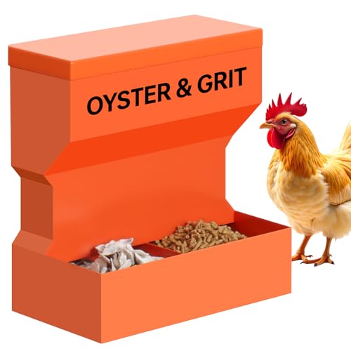 CHUANGFENG Chicken Feeder – Wall Mounted Metal Oyster Shell &
