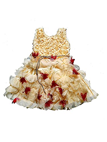 Image of Fit & Flare Net Fabric Frock Dress Frocks for Baby Girls
