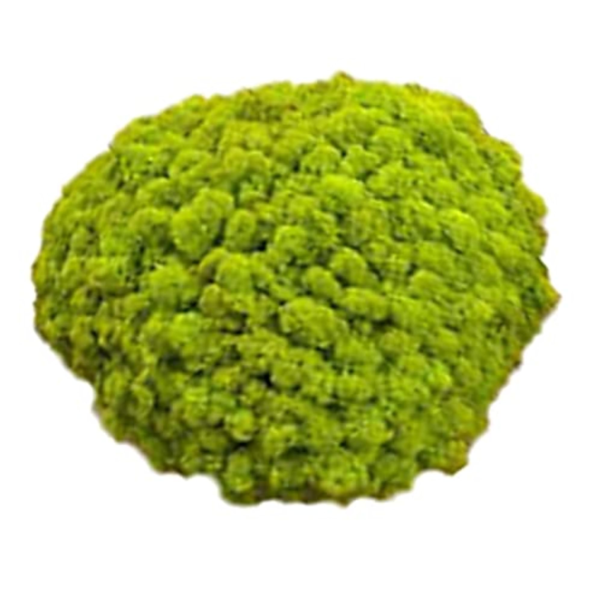 25g Simulation Moss Balls for DIY Garden Decor