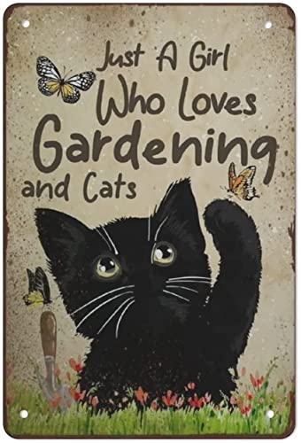 K[fjOƔL̃|X^[{Ɉ鏭gȃuL̊Ŕ̃|X^[Be[WŔv[gR[q[o[Ƃ̉ȎLb`S̊GJtFNuj̓Aǂ̃v[N TCYF200 mmx 300 mm