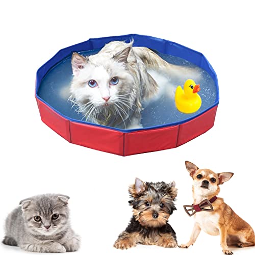 Faltbar Hundepool, Hundepool für Kleine Hunde,PVC rutschfest Planschbecken mit Ablassventil Schwimmbad Schwimmbecken für Hund Katze(50 * 8 cm)