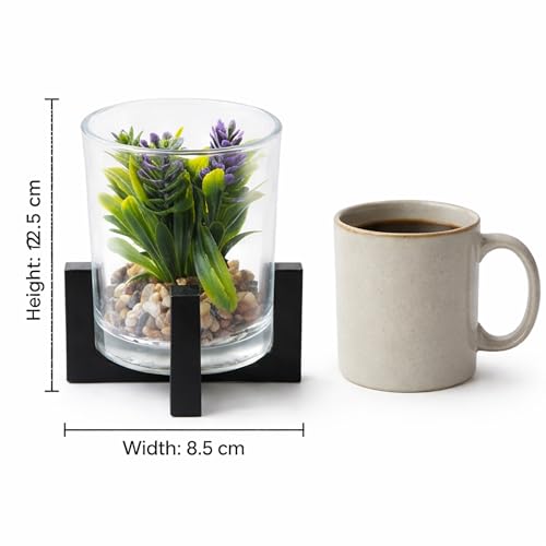 Image of CURATED CART Artificial Plant with Glass Pot for Home Decor, Mini Small Decor Item, Fake Succulent Plant for Office Des, Home Decoration, Artificial Plant with Pebbles & Wooden Stand