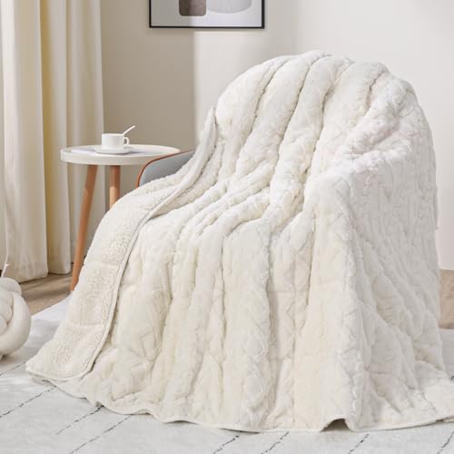 Image of Drewin Weighted Blanket 15lbs Queen Size, Soft and Thick Jacquard Sherpa Throw Blanket for Calm and Relax, Dual Sided Ultra Cozy Fluffy Heavy Blankets with Ceramic Beads, 60 x 80 inches, Cream White