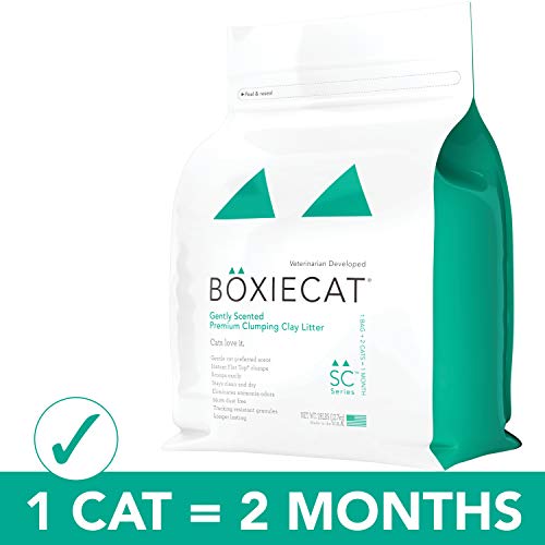 Boxiecat Gently Scented Premium Clumping Clay Cat Litter, 28 lb