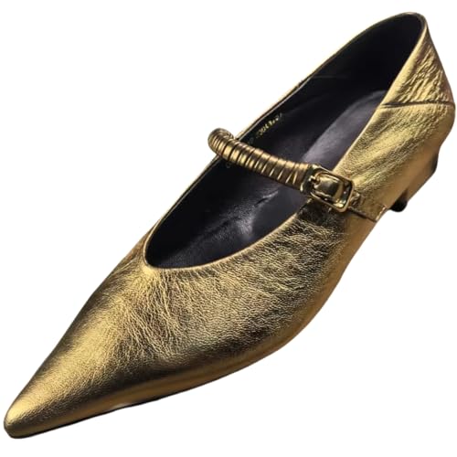 Metallic Style Pointed Toe Mary Jane Flats for Women with Side Metal Buckle Genuine Leather Shoes Low Heels&Low-Cut Comfort Casual Dressy Office Work