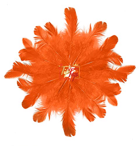 Image of Natural Dyed Feathers 10 cm (80 pieces) (Orange)