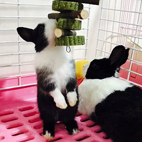 BAQI Bunny kauwspeelgoed, appelhouten stokjes met natuurgrascake, konijntje, hamster, kauwspeelgoed, tandenknirels… - Image 4