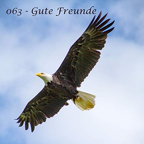 063 - Koro kehrt zurück in die Alten Wälder