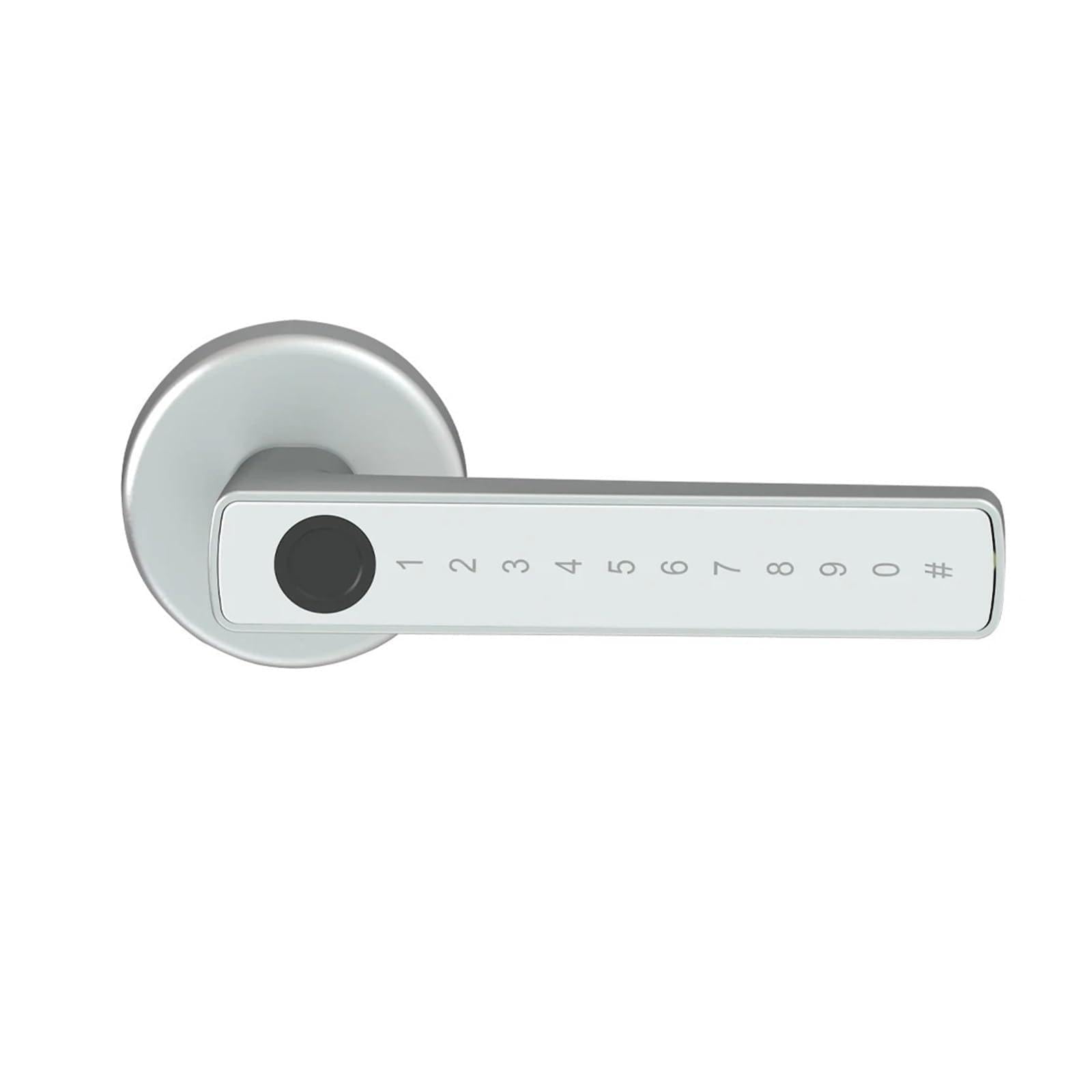 Smart Fingerprint Door Lock Electronic with Password/Key Unlock Passage Mode for Bedroom(Silver)