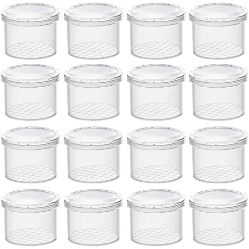 Waldspring Becherlupe Set - Insektenbeobachtung Für Kinder