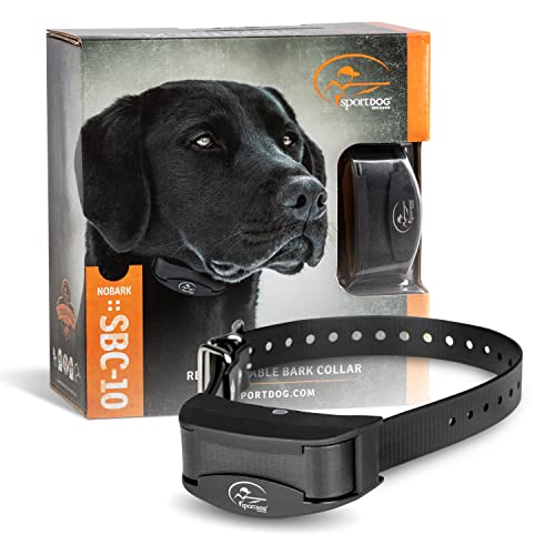 The Best Dog Training (Shock) Collars, According to a Vet Pet Life Today