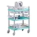 ZYLEDW Trolleys, Küchenpraxishand-Lkw, 3-Stufe Mit Schubladenschaufel, Tragbarer Abs-Schönheitssalon-Trolley Mit Rollrad, 100-150 Kg Kapazität/Green/2 Drawers