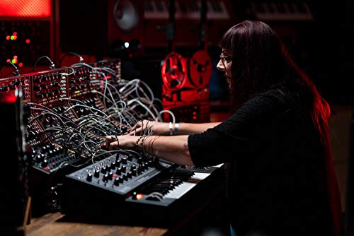 Moog Matriarch Dark · Synthétiseur - Les Beatles, Paul McCartney, John Lennon, RIngo Starr, George Harrison Moog Matriarch Dark · Synthétiseur – Image 8