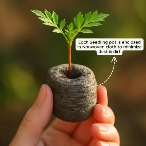 Image of Bombay Greens Organic Netted Cocopeat Coir Discs Seeds Germination pellets Coin Seedling Tray for Plants Indoor and Outdoor Gardening - Pack of 100 Coco Discs