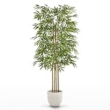 MAIA SHOP Bambú Artificial 150 cm con Cañas Naturales, Planta Artificial Realista de Interior para Decoración de Hogar, Oficina, Hotel o Eventos, Árbol Decorativo Verde