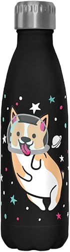 Fifth Sun Space Corgi - Botella de agua de acero inoxidable de 17 onzas, multicolor