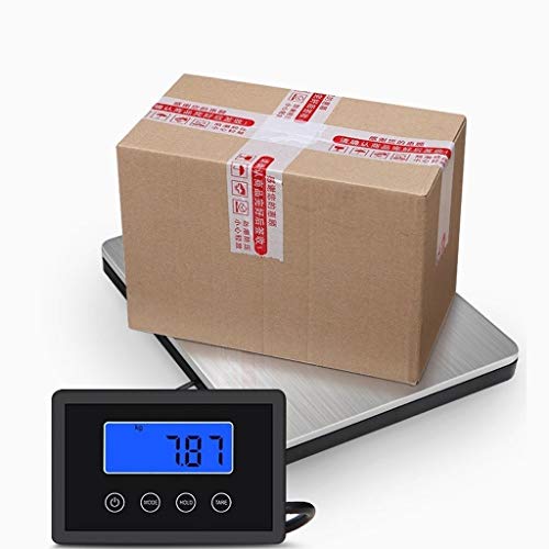 Báscula electrónica profesional alta precisión 300Kg plataforma acero inoxidable