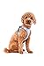Glow curli Clasp Vest Harness Reflective Gray M