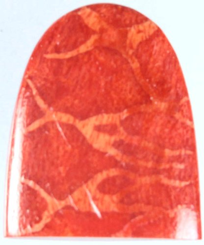 Exotic India Sponge Coral (Price Per Piece) -