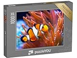 Puzzle 1000 pièces XXL « Amphiprion ocellaris, Poisson-Clown, mer »