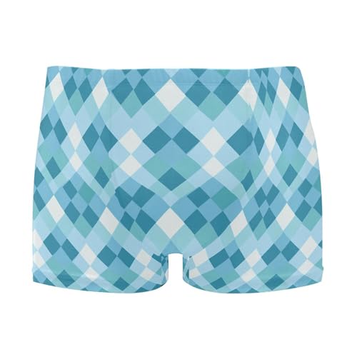 Buffalo Check Plaid Mens Swim Trunk Swimwear Bathing Suit Swim Brief Square Leg Board Short S B0403962