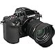 Panasonic LUMIX DC-GH6M Hybridkamera mit Objektiv FS12060 (25 MP, Dual I.S, OLED-Sucher, Kälte-/Staub-/Spritzwasserschutz) schwarz