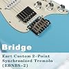 EART CP.1 Electric Guitar 6-String Solid-Body 22 Frets,Single, Single and Double Pickups, Music Style Switching, Clear Tone, Meeting Various Needs