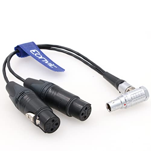 Câble audio 10 broches vers 2 XLR Atomos Breakout pour Shogun - 4