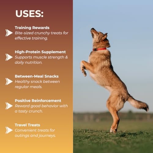 Image of Dog Biscuits - Chicken & Carrot Cookies with Ashwagandha 250g | Healthy Dog Food | Freshly Baked Dog Treats, All Natural & Preservative Free | Human-Grade Ingredients| All Breeds |
