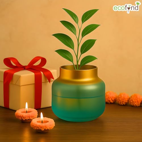 Image of ecofynd Glass Vase for Flowers Plants, Modern Decorative Vase for Home Decor Center Table, Bedroom, Living Room, Office Decoration, Wedding or Gifts, Luster Glass Vase, (GVASE010)