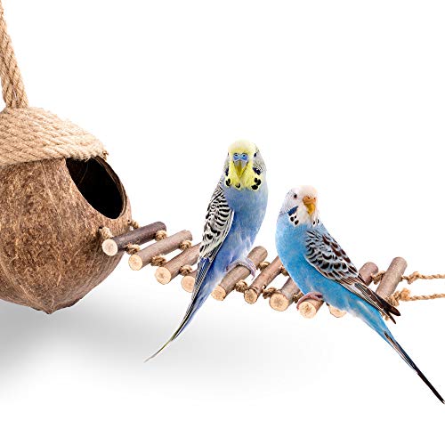 Andwe Coconut Bird Nest Hut With Ladder For Parrots Parakeet Conures Cockatiel thumb #1