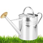 Trendi® Galvanized Metal Steel Watering Can with 9L Capacity (2 Gallons) and Brass Rose Spout