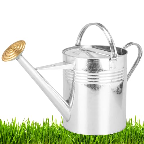 Trendi Galvanized Metal Steel Watering Can with 9L Capacity (2 Gallons) and Brass Rose Spout