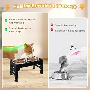 Elevated Dog Bowls for Small Medium Dogs 3 Height Adjustable Raised Dog Bowl Stand with 2 Thick 6" Stainless Steel Dog Food Bowls Non-Slip Dog Feeder Adjusts to 2.75", 6", 7.5", Black Elevated Dog Bowls for Small Medium Dogs 3 Height Adjustable Raised Dog Bowl Stand with 2 Thick 6 Stainless Steel Dog Food Bowls Non Slip Dog Feeder Adjusts to 275 6 75 Black