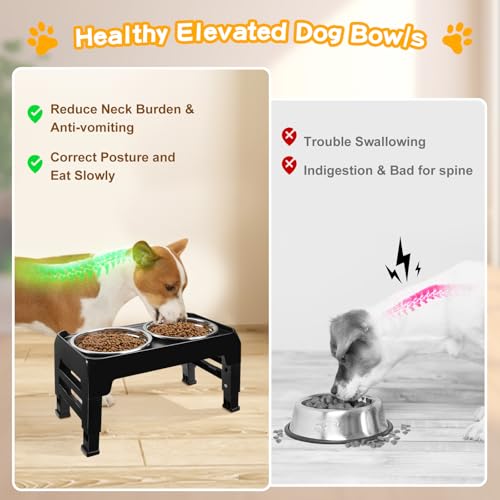Elevated-Dog-Bowls-for-Small-Medium-Dogs-3-Height-Adjustable-Raised-Dog-Bowl-Stand-with-2-Thick-6-Stainless-Steel-Dog-Food-Bowls-Non-Slip-Dog-Feeder-Adjusts-to-275-6-75-Black Elevated Dog Bowls for Small Medium Dogs 3 Height Adjustable Raised Dog Bowl Stand with 2 Thick 6 Stainless Steel Dog Food Bowls Non Slip Dog Feeder Adjusts to 275 6 75 Black