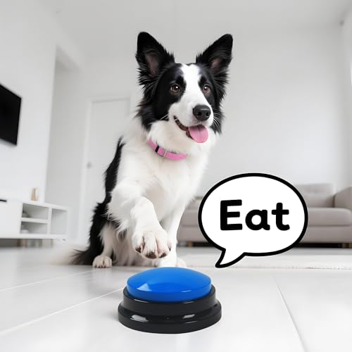 DUBUOZA 6 Stück Buzzer mit Aufnahmefunktion,Haustier Talking Training Antwort Buzzer 30 Sekunden Aufnahme,Hund Intelligenzspielzeug Geeignet für die Ausbildung von Haustieren (6)