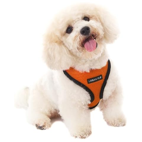 UrbanPup Fresh Orange Soft Harness (Small - Dog Chest Circumference: 12" / 30cm) Cover