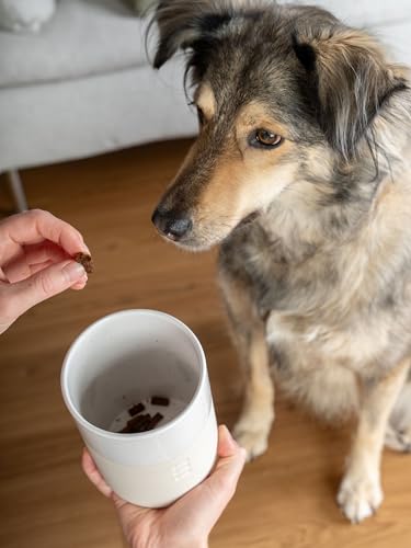 TrendPet Clay Snackdose, Snackdose für Hunde mit Bambus-Deckel