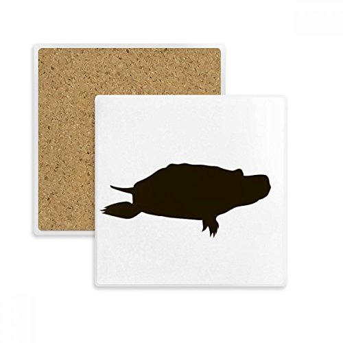 Tortue Noire protège-table absorbant pour stopper les taches de café et cercles d'eau