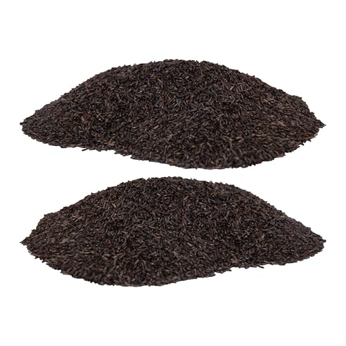 BestNest Nyjer Seed (Thistle Seed), 10 lbs.