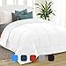 Equinox All-Season White Quilted Comforter - 88 x 88 Inches - Goose Down Alternative Queen Comforter - Duvet Insert Set - Machine Washable - Plush Microfiber Fill (350 GSM)