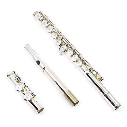 10 Best Gemeinhardt Flute Reviews 2022 CMUSE